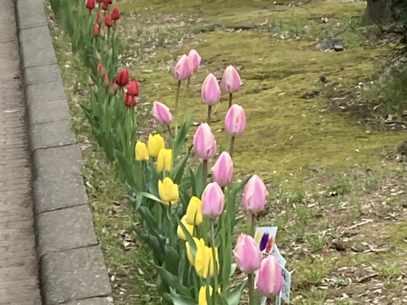 園芸・土地経済研究所 イメージ画像
